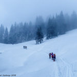 Rando raquettes dans le Pays d'En-Haut en Suisse