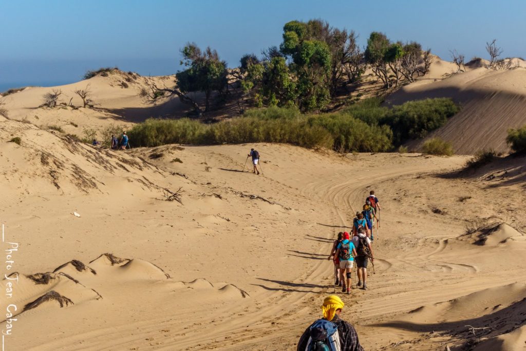 Maroc 2017_trekking dans les dunes en direction d'Essaouira