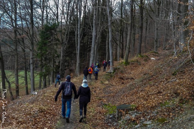 Balade dans les bois de Sart